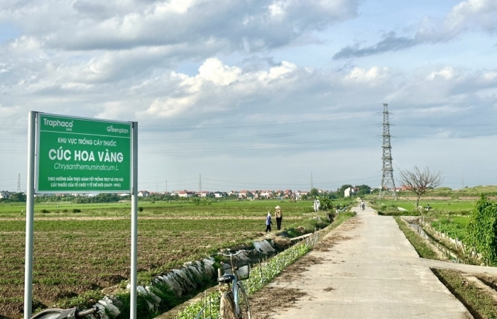 Lợi ích lớn từ giải pháp dựa vào tự nhiên