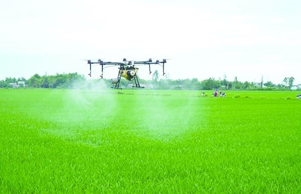 Huy động tài chính cho chuỗi giá trị lúa gạo phát thải thấp