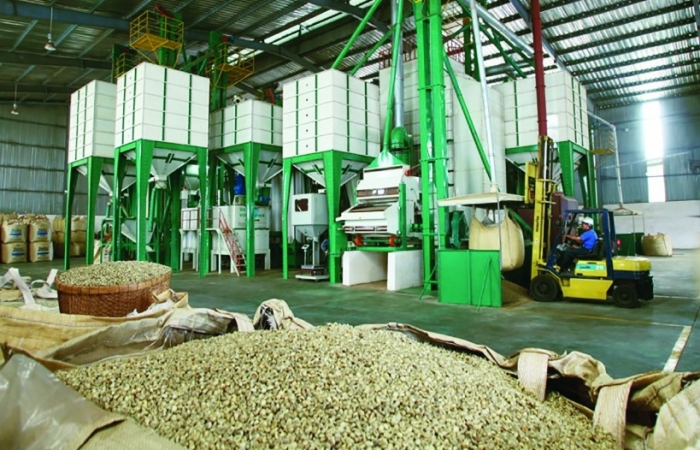 Chế độ doanh nghiệp ưu tiên là sự hỗ trợ tuyệt vời đối với hoạt động XNK của Phúc Sinh