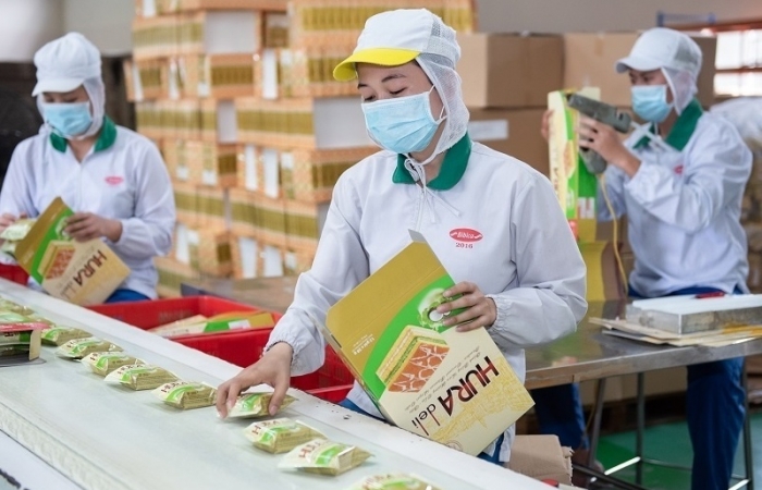 Quản trị doanh nghiệp theo ESG như thế nào để thành công?