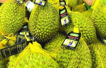 Xuất khẩu rau quả sang Hoa Kỳ bứt phá