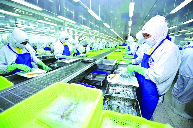 UKVFTA giúp ngành thủy sản tăng sức cạnh tranh tại thị trường Anh. Ảnh: Nguyễn Hiền UKVFTA giúp ngành thủy sản tăng sức cạnh tranh tại thị trường Anh. Ảnh: Nguyễn Hiền