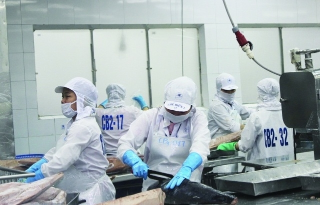 Bất ổn thuế quan, thủy sản Việt Nam mất ngôi đầu xuất khẩu sang Mỹ