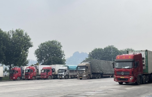 Những nhóm hàng nhập khẩu nổi bật nửa đầu tháng 10/2025