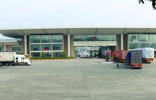 haiquanonline.com.vn