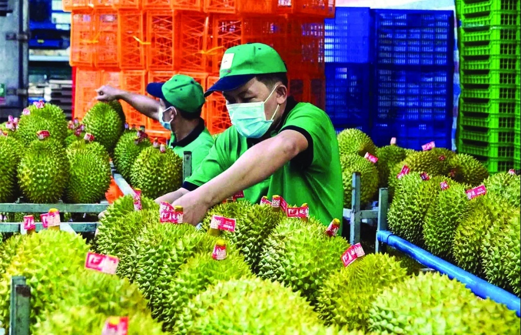 Tăng cường truy xuất nguồn gốc, đảm bảo chất lượng nông, lâm, thủy sản xuất khẩu
