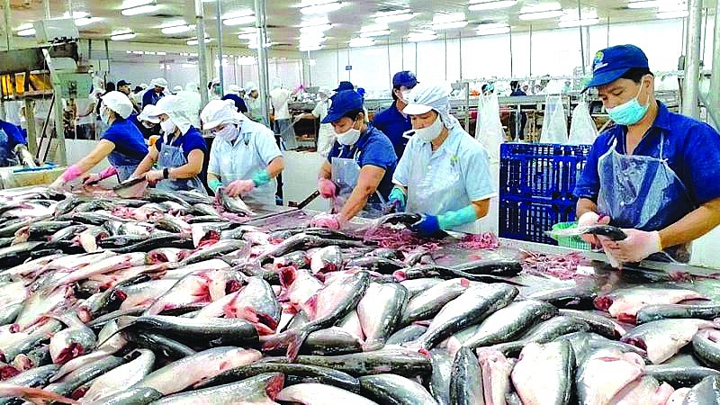 Ngành thủy sản Việt Nam có cơ sở để kỳ vọng vào sự tăng trưởng mạnh mẽ hơn trong năm 2025. 	Ảnh minh họa: ST