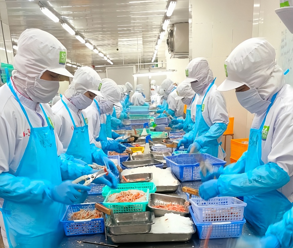 Doanh nghiệp tung nhiều sản phẩm mới, giảm giá mạnh phục vụ Tết