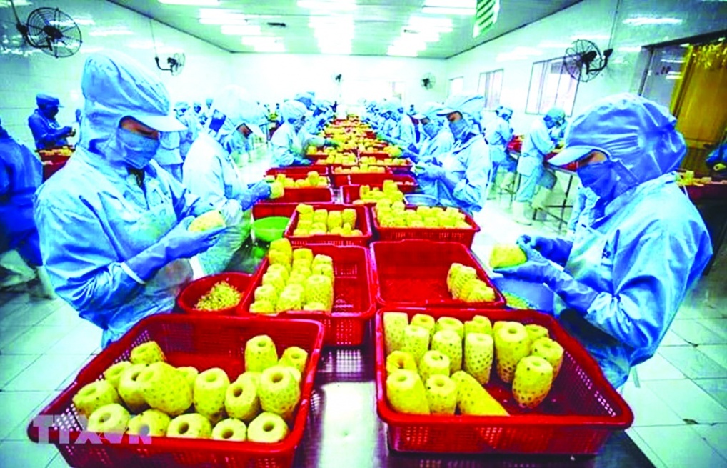 Thuế GTGT đối với mặt hàng thực phẩm chưa qua chế biến