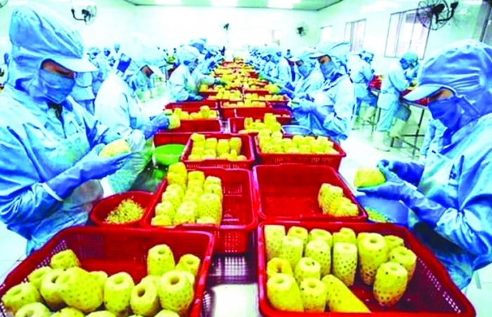 Nắm bắt xu thế chuyển đổi xanh - Cơ hội sống còn của doanh nghiệp Việt Nam