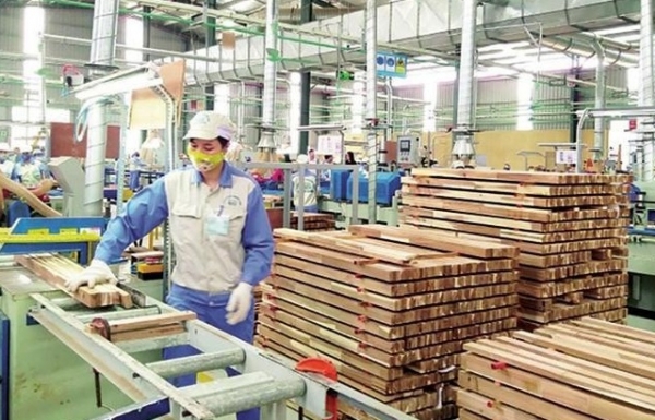 haiquanonline.com.vn