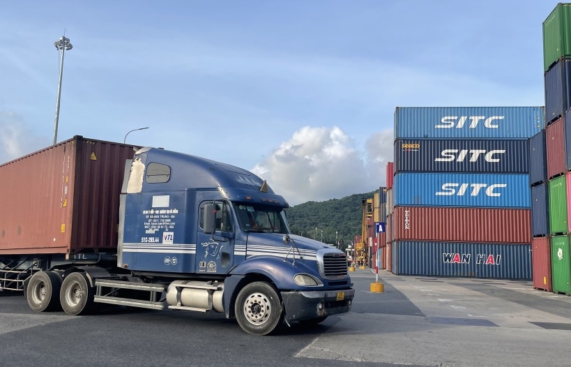 Tạm dừng hoạt động đại lý làm thủ tục hải quan đối với 10 công ty