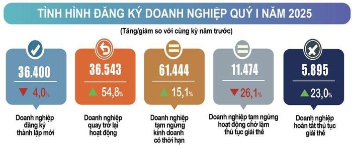 Mỗi tháng có 24,3 nghìn doanh nghiệp gia nhập, tái gia nhập thị trường