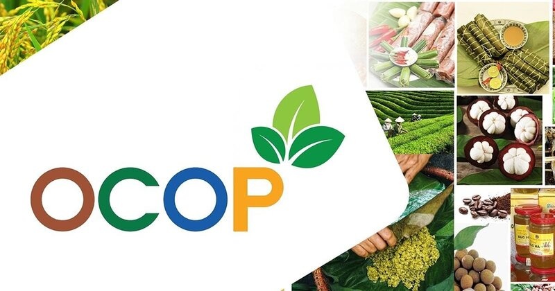 Hà Nội tăng cường giám sát chất lượng thực phẩm OCOP, hàng đông lạnh