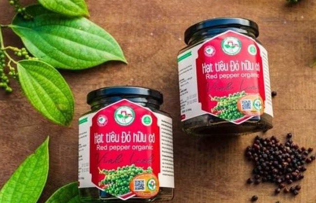 Hạt tiêu đỏ hữu cơ Vĩnh Linh: Từ vùng cát khô đến kệ hàng xuất khẩu