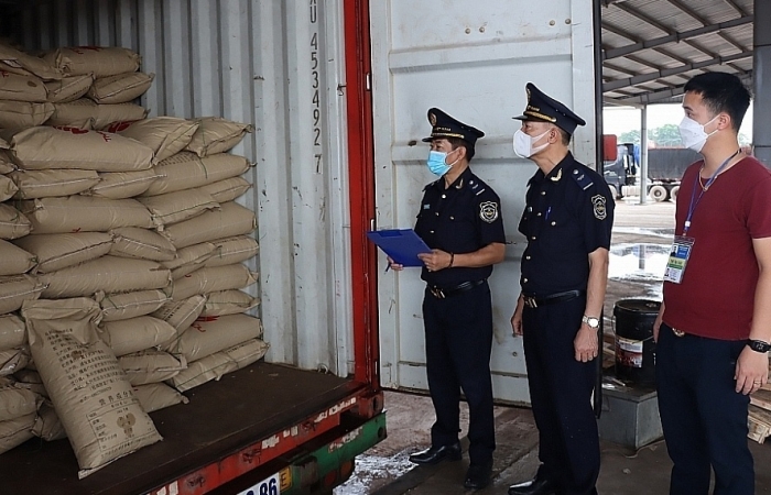 Hải quan Móng Cái: Thúc đẩy chuyển đổi số, đồng hành cùng doanh nghiệp