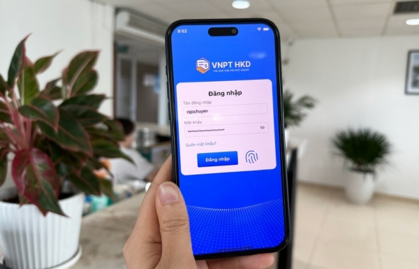 haiquanonline.com.vn