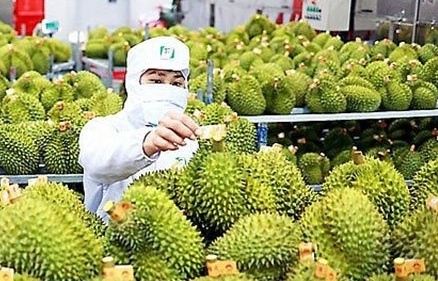 Xuất khẩu rau quả bật tăng mạnh mẽ