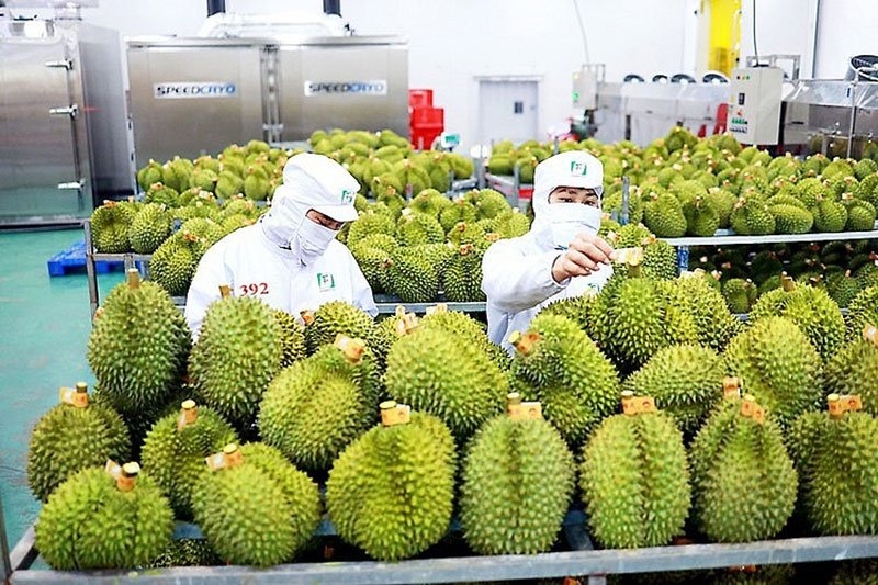 Ưu tiên thực hiện thông quan ngay đối với hàng hóa xuất khẩu là nông lâm thủy sản