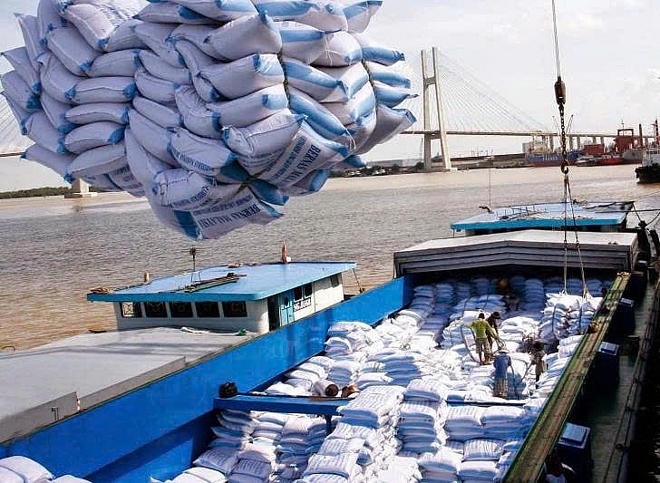 Gạo Việt Nam nâng tầm giá trị từ 