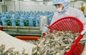 Khơi thông thị trường xuất khẩu thủy sản