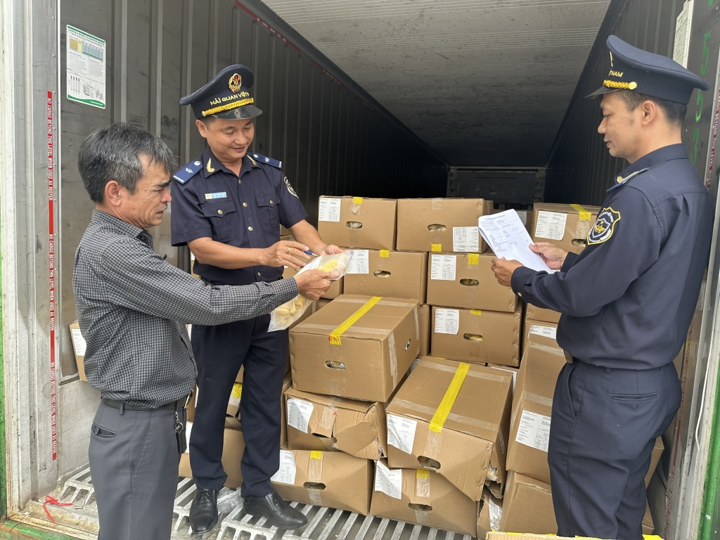 Công chức Hải quan cửa khẩu cảng Sài Gòn khu vực 1 kiểm tra sầu riêng xuất khẩu. Ảnh: T.H