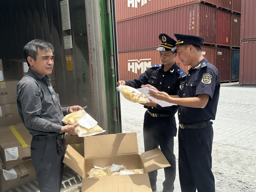 Công chức Hải quan cửa khẩu cảng Sài Gòn khu vực 1 kiểm tra sầu riêng xuất khẩu. Ảnh: T.H Công chức Hải quan cửa khẩu cảng Sài Gòn khu vực 1 kiểm tra sầu riêng xuất khẩu. Ảnh: T.H