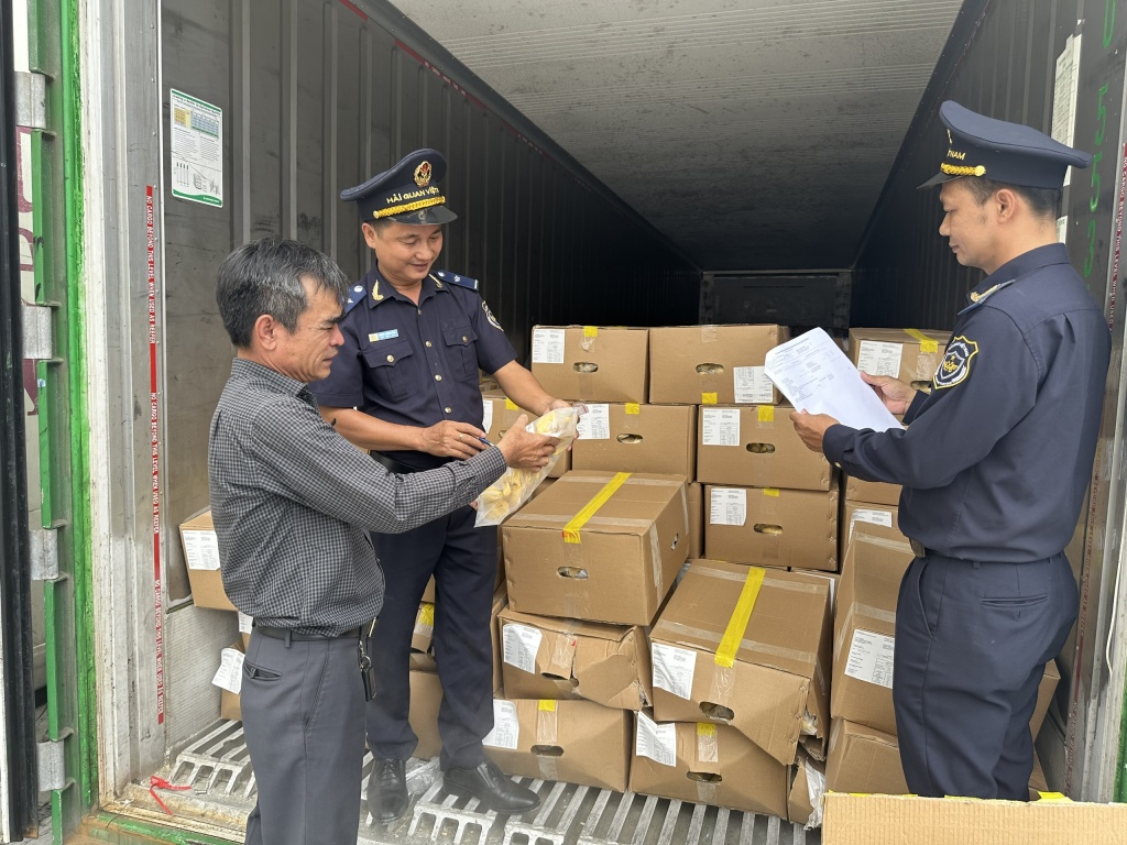 Công chức Hải quan cửa khẩu cảng Sài Gòn khu vực 1 kiểm tra sầu riêng xuất khẩu. Ảnh: T.H Công chức Hải quan cửa khẩu cảng Sài Gòn khu vực 1 kiểm tra sầu riêng xuất khẩu. Ảnh: T.H