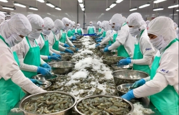 Nhiều thị trường tăng trưởng đột biến