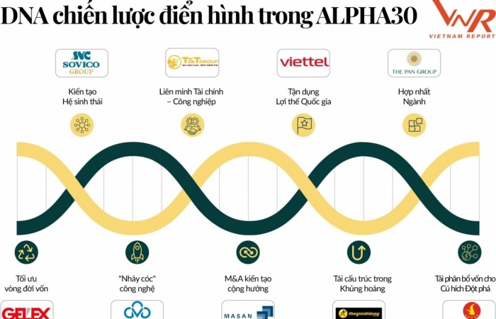 Bài 3: Các DNA chiến lược và cơ hội mới cho nhà đầu tư
