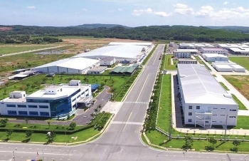 Trưởng Thuế tỉnh, thành phố được ủy quyền ký quyết định giảm tiền thuê đất