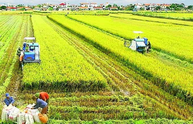 Quyết tâm đạt mục tiêu 65 tỷ USD xuất khẩu nông, lâm, thủy sản