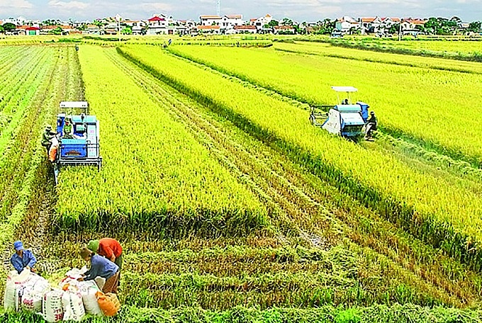 Khả thi mục tiêu 65 tỷ USD xuất khẩu nông, lâm, thủy sản