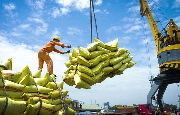 Doanh nghiệp xuất khẩu gạo cần đa dạng thị trường