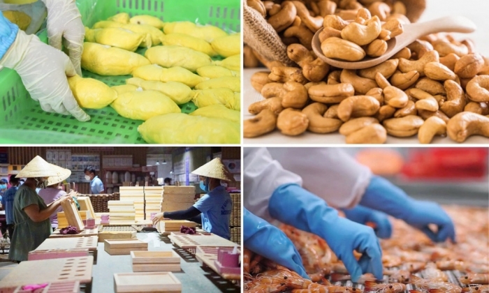 Xuất khẩu nông, lâm, thủy sản Việt Nam đang gặp nhiều thách thức mới