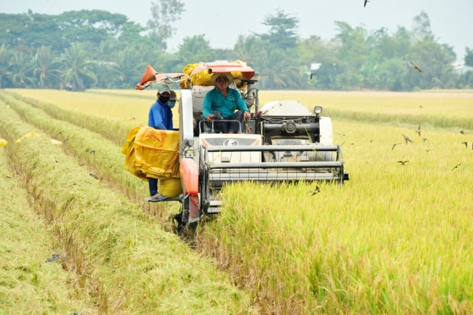 Đồng Tháp: Xây dựng chuỗi cung ứng thương mại điện tử cho nông sản