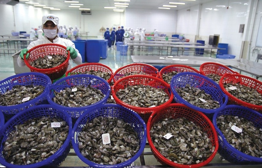 Một số mặt hàng hải sản Việt Nam có thể bị Mỹ cấm nhập từ đầu năm 2026