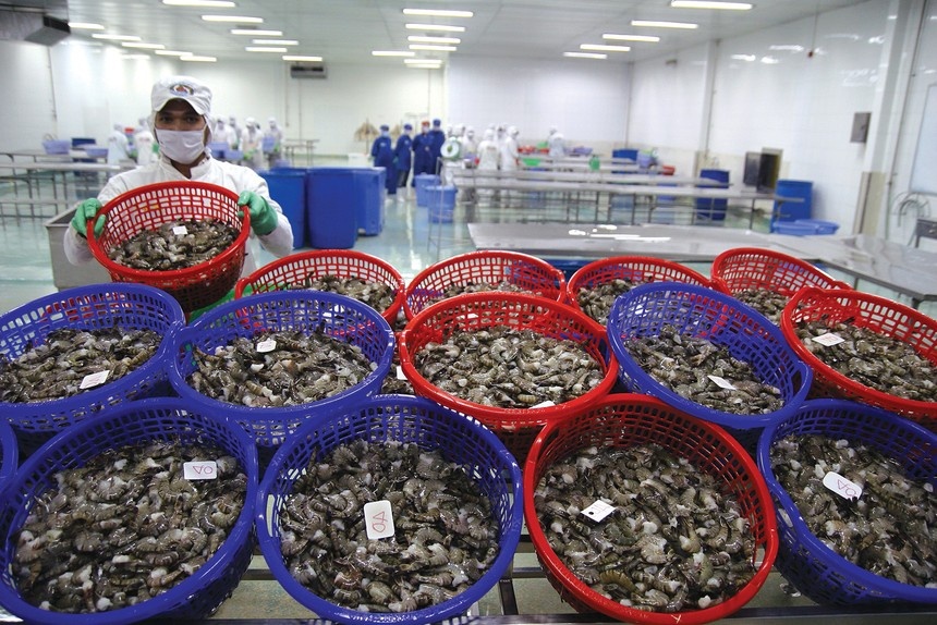 Một số mặt hàng hải sản Việt Nam có thể bị Mỹ cấm nhập từ đầu năm 2026