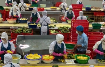 Việt Nam hướng tới top 10 xuất khẩu nông, lâm, thủy sản