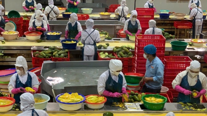 Việt Nam hướng tới top 10 xuất khẩu nông, lâm, thủy sản