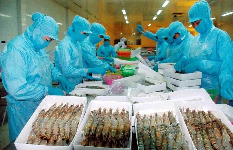 Xuất khẩu tôm còn nhiều cơ hội bứt phá