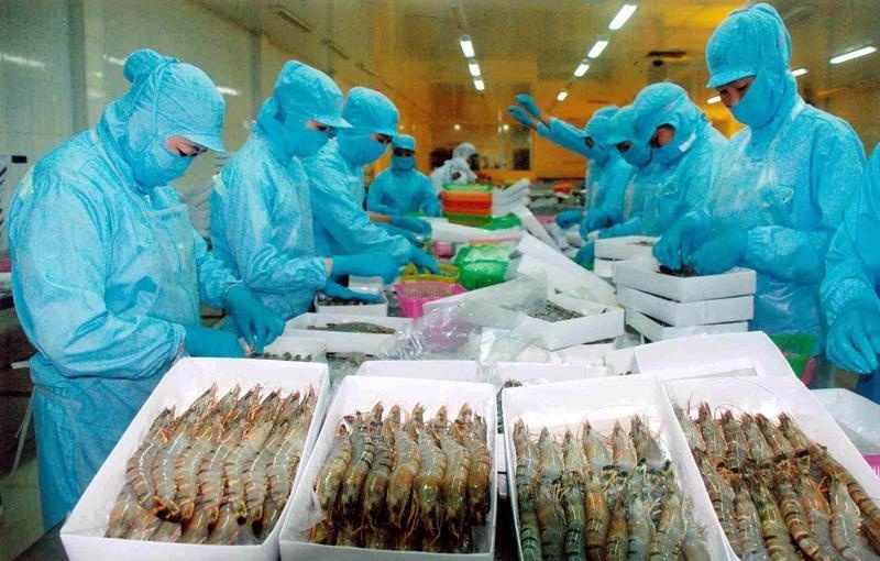 Xuất khẩu tôm còn nhiều cơ hội bứt phá