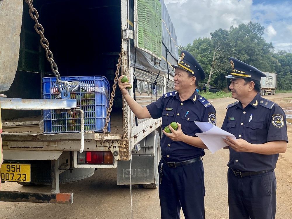 Tây Ninh: Xuất khẩu dẫn dắt tăng trưởng