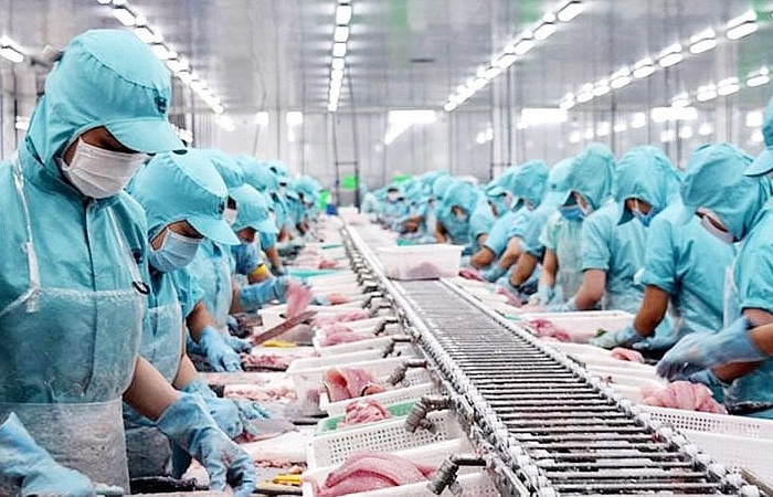 Thủy sản Việt Nam vươn lên top 3 nguồn cung lớn tại Nhật Bản