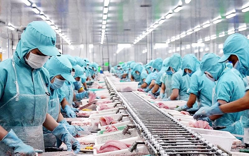Thủy sản Việt Nam vươn lên top 3 nguồn cung lớn tại Nhật Bản