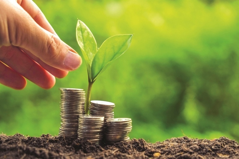 Doanh nghiệp thực hiện dự án xanh được hỗ trợ lãi suất 2%/năm