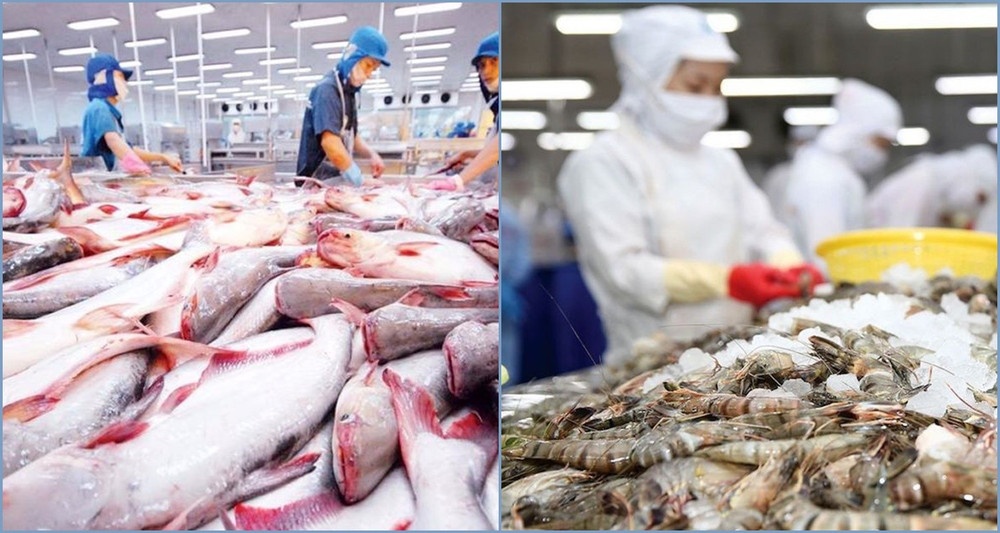 Cơ hội lớn để thủy sản Việt Nam xuất khẩu sang Đài Loan