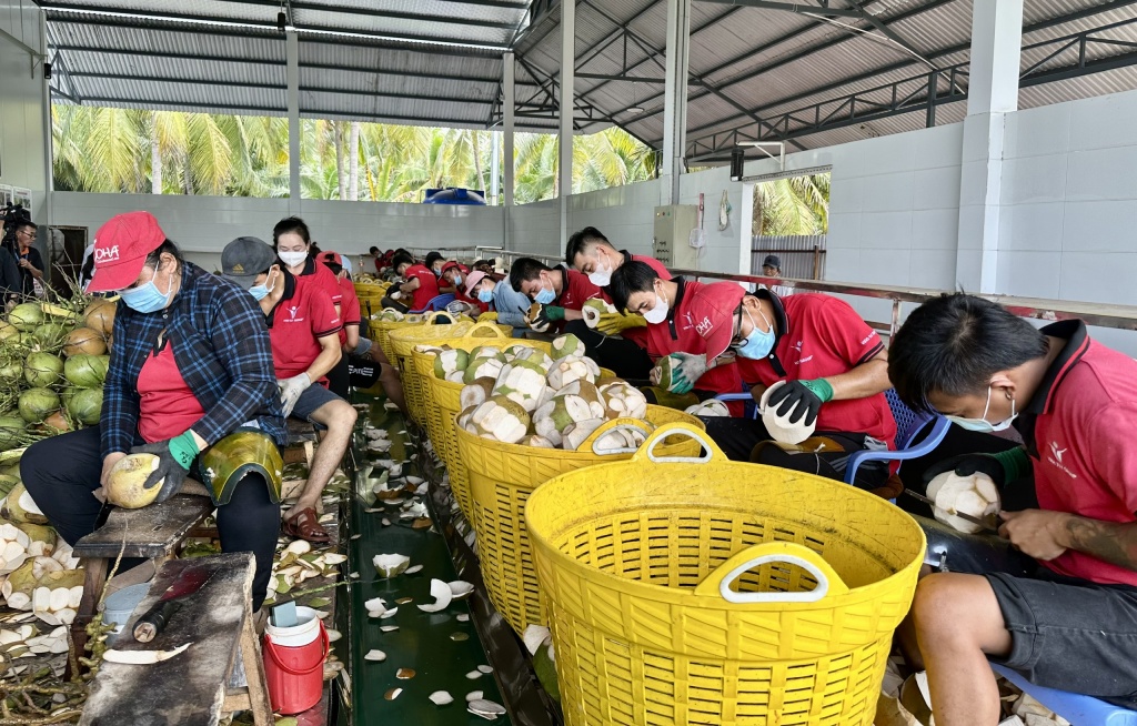 Dừa Việt Nam chinh phục thị trường Mỹ
