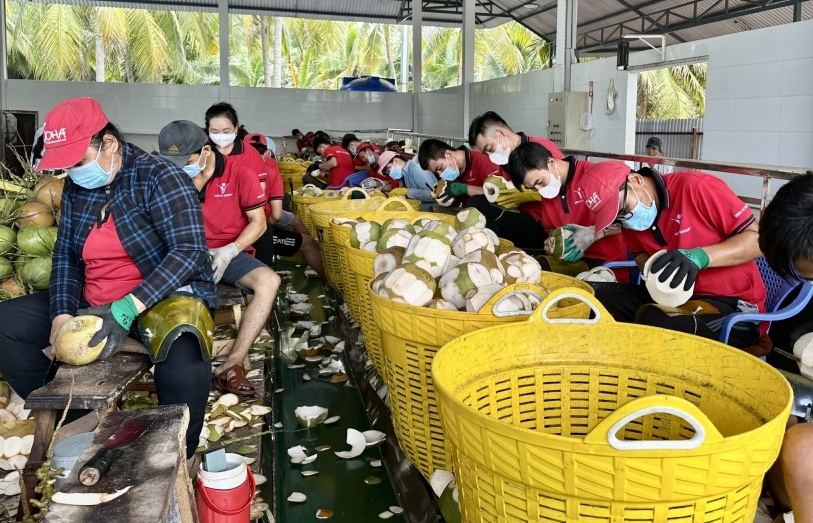 Dừa Việt Nam chinh phục thị trường Mỹ
