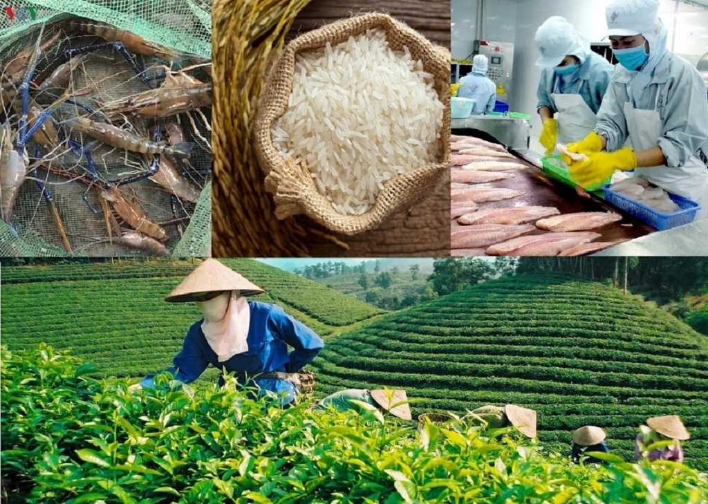 Nông sản Việt Nam: Vững vàng khẳng định vị thế trên thị trường thế giới